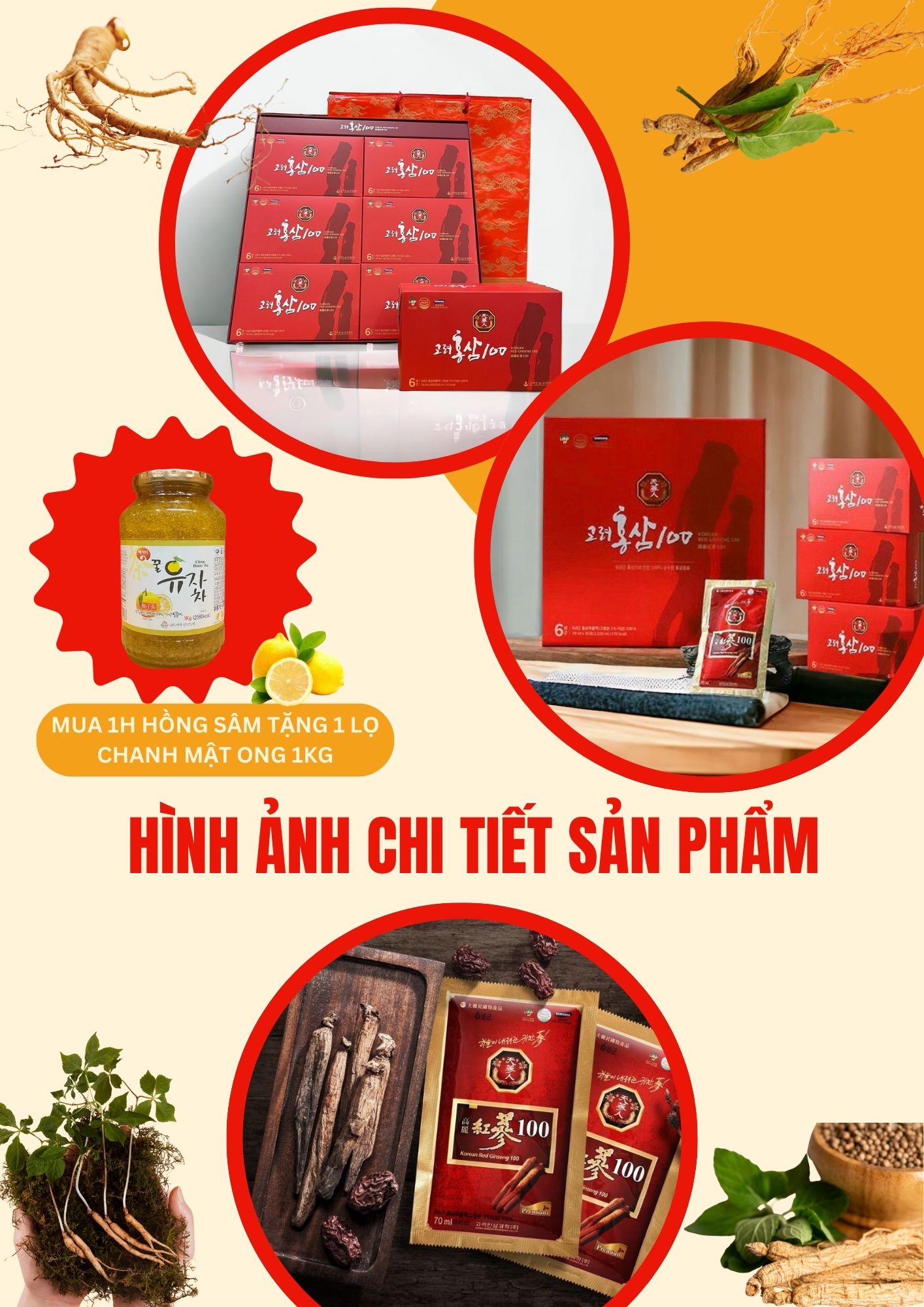 nước uống hồng sâm nguyên chất hộp 30 gói bio-apgold
