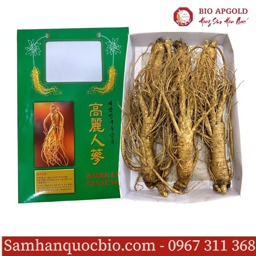 sâm tươi 6 củ/kg hàn quốc