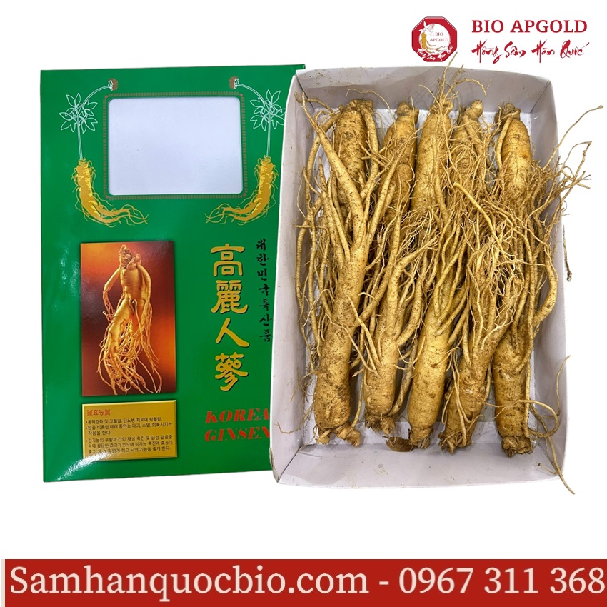 sâm tươi 10 củ/kg hàn quốc