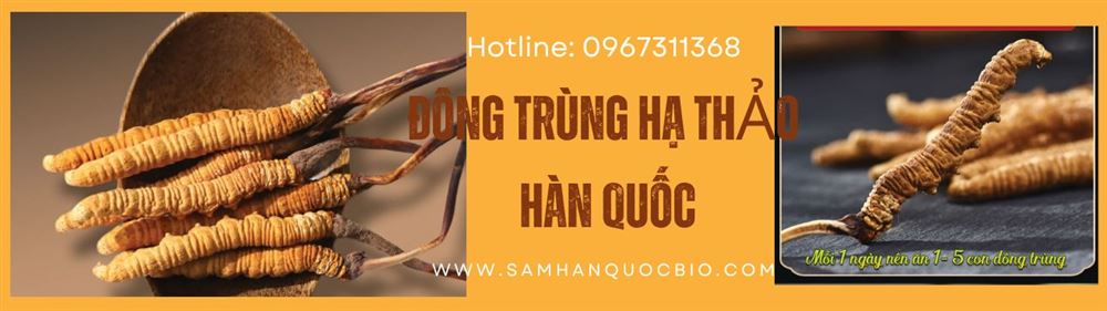 Đông trùng hạ thảo