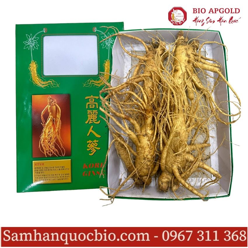 Sâm Tươi 6 Năm Tuổi Hàn Quốc - 1kg * 4 Củ/ kg 