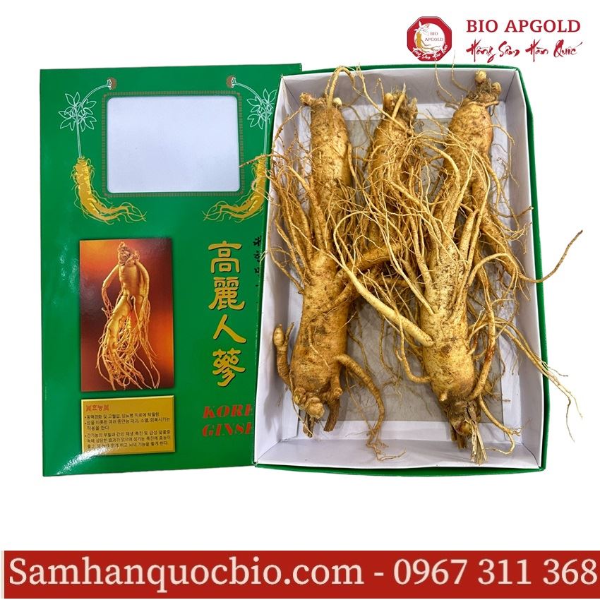 Sâm Tươi Hàn Quốc 6 Năm Tuổi - 1kg * 5 củ